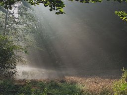 IMGP8653-Solstraaler-over-skovsoe